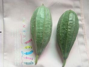 瓜叶杆子怎么吃,探索绿色食材的新吃法