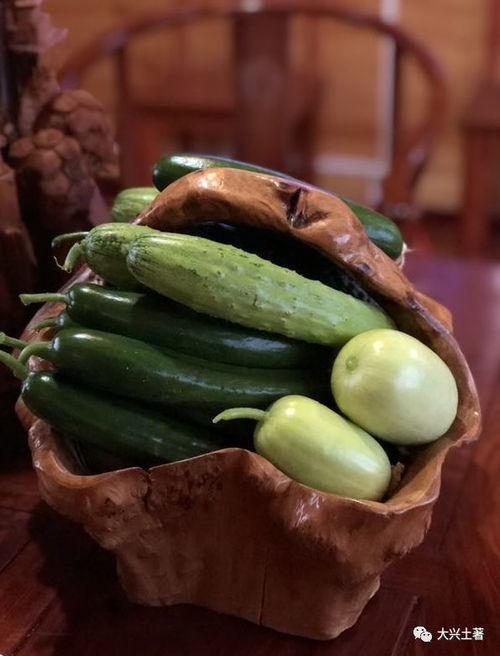 网红吃瓜薛小婉,吃瓜界的风云人物