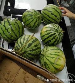 在学校吃同学的瓜,揭秘同学间的那些秘密