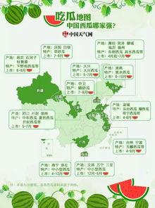 吃瓜最佳时间表