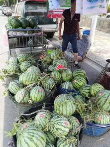 秀屿区吃瓜事件视频,一场引发热议的网络视频风波