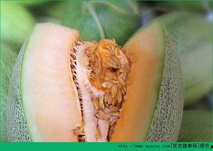 嘴里有火可以吃哈密瓜吗,哈密瓜可否成为清凉解暑佳品？