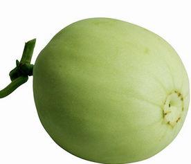 梨瓜晚上可以吃吗