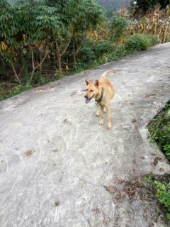 吃瓜视频大全猴子,猴子篇，欢乐搞笑瞬间大盘点