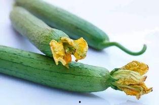 三花吃瓜,一场别开生面的夏日盛宴