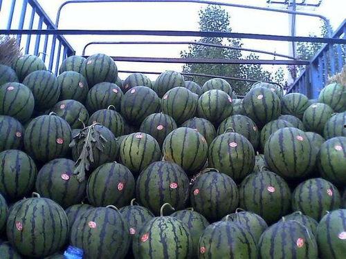 吃瓜山东交通,吃瓜群众眼中的便捷与变迁