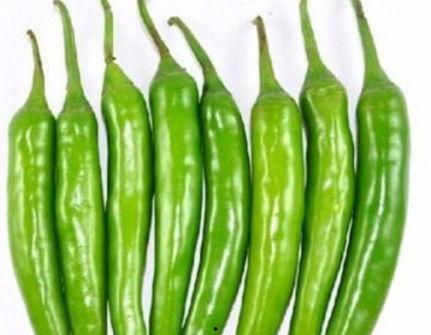 角瓜和臭菜能一起吃吗,探究能否共食的饮食奥秘