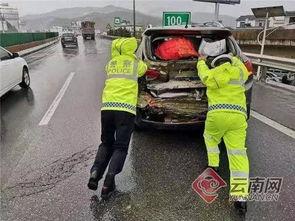 吃瓜张某云,一场网络热议背后的真相