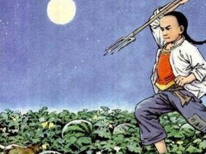 梦见吃瓜偷瓜,瓜田里的偷瓜与吃瓜之谜