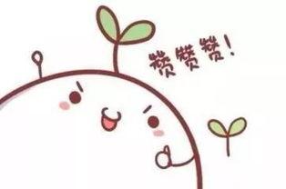 吃瓜天才小团团,吃瓜天才的美食之旅