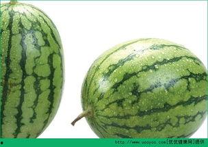 吃瓜后过敏,揭秘夏日美食背后的健康隐患