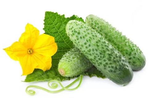 季念念吃瓜系统,揭秘娱乐圈幕后真相，带你领略明星们的真实生活