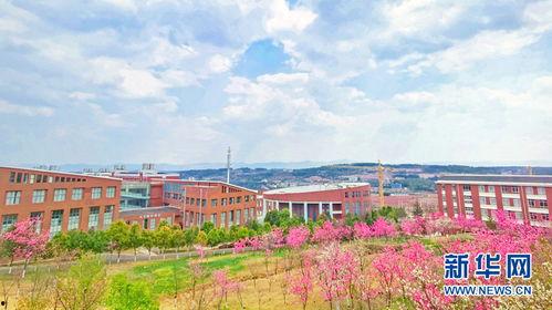 云南滇池学院吃瓜