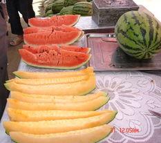 吃面吃瓜,探寻传统美食的魅力之旅