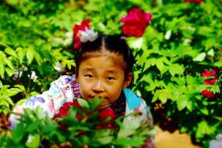 吃瓜花儿朵朵后续,揭秘娱乐圈背后的爱恨情仇