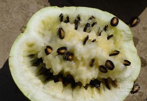 阴虚吃籽瓜,阴虚体质者的籽瓜养生之道