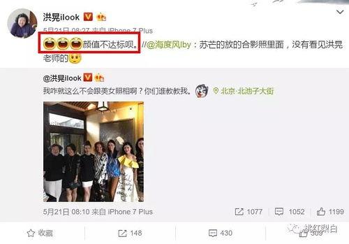 吃瓜人才网页,网络时代的“吃瓜群众”现象解析