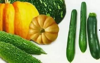 老棉瓜怎么吃,解锁传统美食新体验