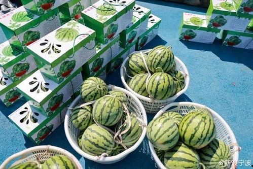 吃瓜搭子文案,吃瓜搭子文案解析