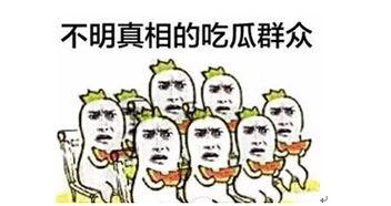 网易云吃瓜围观,揭秘网络热点背后的故事